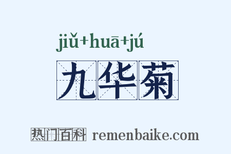 九华菊是什么意思的图片